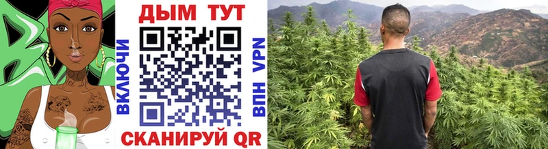 Купить наркотики цена Чистополь Кокаин  Alpha-PVP  Гашиш  Меф мяу мяу 