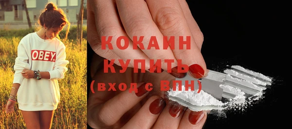 ГАЛЛЮЦИНОГЕННЫЕ ГРИБЫ Наволоки