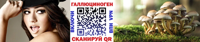 Псилоцибиновые грибы Magic Shrooms  Чистополь 