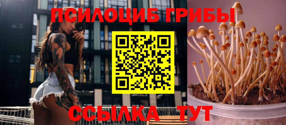 Чистополь  Гашиш  Вход с VPN  Альфа ПВП СК кристаллы  LSD-25  Мефедрон кристаллы  Канабис  КОКАИН 