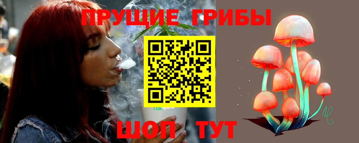 Чистополь  Галлюциногенные грибы ЛСД  Вход с VPN  Псилоцибиновые грибы прущие грибы 