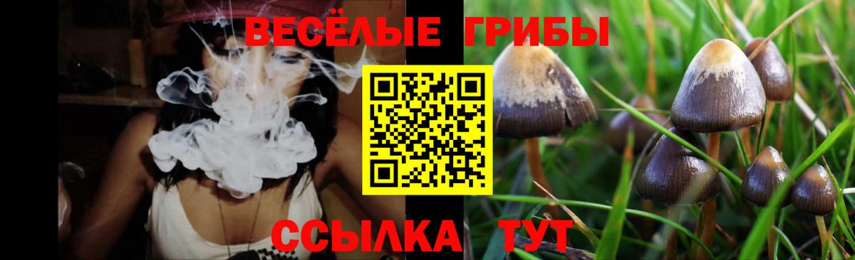 Псилоцибиновые грибы мухоморы Чистополь